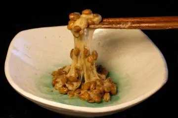 Natto (Photo: <a href="https://www.flickr.com/photos/jdbaskin/5378257850" target="_blank" rel="noreferrer noopener nofollow">JD</a> / <a href="https://creativecommons.org/licenses/by/2.0/" target="_blank" rel="noreferrer noopener nofollow">CC BY 2.0</a>)