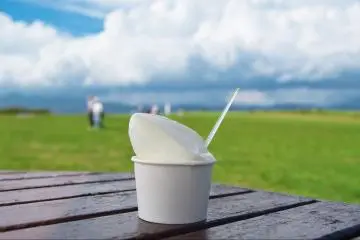 Hokkaido soft-serve ice cream