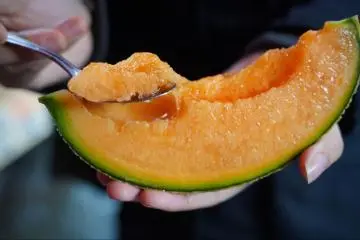 Yubari melon