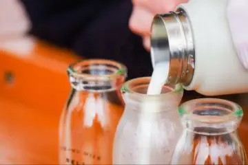 Milk bottles being filled