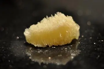 Flesh of the buntan citrus fruit (Photo: <a href="https://www.flickr.com/photos/cyclonebill/5360921668/in/photolist-9aJ8eW-kZMm48-2j3xAqh-7rgYx8-5zHu2N-fLcvnE-7rh1na-7rgZTD-7rgYZc-7rkVBU-6dyrMX-7efsvo-ofTB-6KMuq4-5REZ5y-5NLXb7-kyLddP-95SaET-npnz1s-8weSGL-5zHtHf-5zDctk-rLP5QM-bpfFqZ-5snHpg-QLd6ok-9fgw1e-qj1ByM-7ngnj1-9xqPYg-5NF3zh-q2KgEx-fQ3Nef-ejL2e5-bi4Brp-o8wCQG-L3xAeq-5nfM95-5LPtqL-7i3ifR-HraS3A-5AuJyD-4rtjsU-eTs9Fo-kQ8R1q-a8Bs5j-7DjTFv-7hRVLa-4vdWkf-78MPqy" target="_blank" rel="noreferrer noopener nofollow">cyclonebill</a> / <a href="https://creativecommons.org/licenses/by-sa/2.0/" target="_blank" rel="noreferrer noopener nofollow">CC BY-SA 2.0</a>)