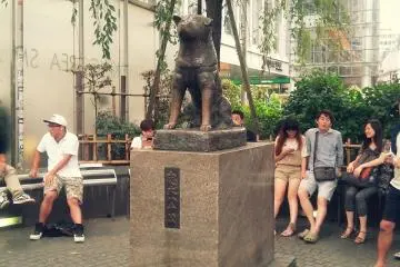 Photo: daeun.seo