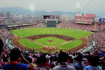 Hiroshima Toyo Carp Baseball