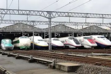 Photo: <a href="https://commons.wikimedia.org/wiki/File:JR_East_Shinkansen_lineup_at_Niigata_Depot_201210.jpg" target="_blank" rel="noreferrer noopener nofollow">Rsa / CC BY-SA 3.0</a>