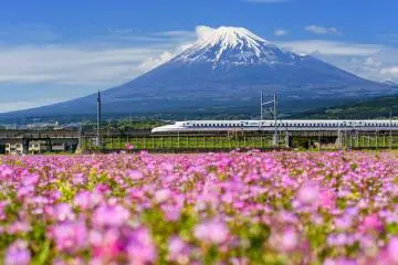 Photo: Blanscape / Shutterstock.com