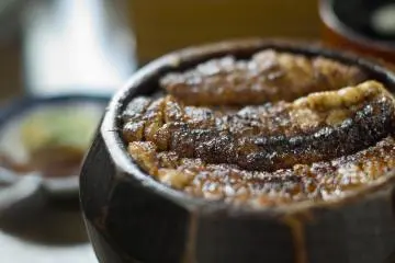 Regional Cuisine - Aichi