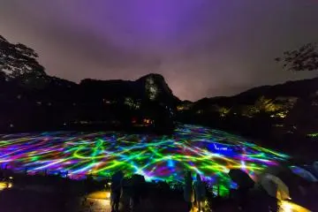 TeamLab: A Forest Where Gods Live 2023