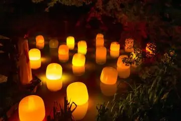 Photo: TeamLab