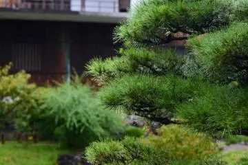 Matsunaga Memorial Estate