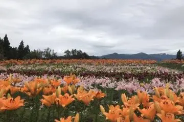 Tsukioka Park