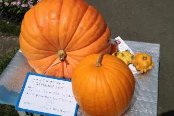 Yatsugatake Farm － Wholesale Shop