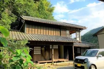 Japanese Green Tea Farmstay