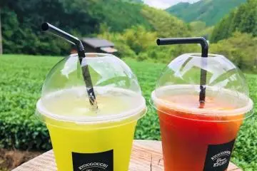 Green-8: Cafe in a Green Tea Field