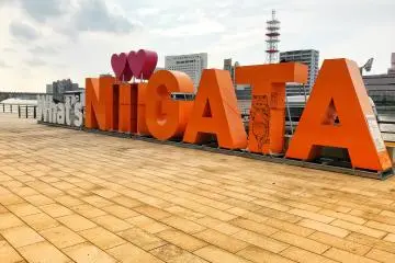 What's Niigata Sign