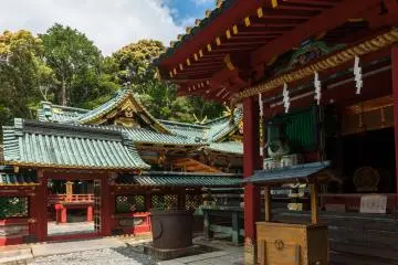 Gallery image