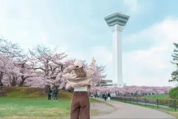 Sightseeing at Goryokaku Park