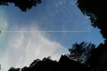 Jet trails across an evening sky.