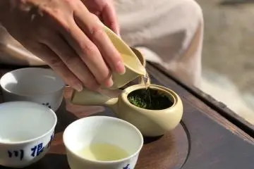 Green Tea Factory Experience