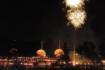 Fireworks over Tennogawa Park (Photo: Aichi Prefecture)