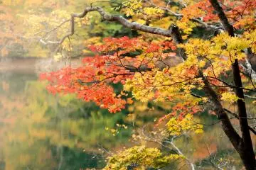 Photo: Aomori Travel