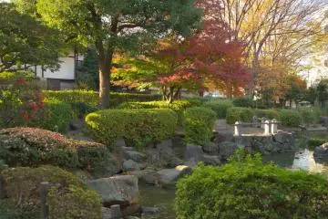 Nakano City Ward - Parks & Gardens