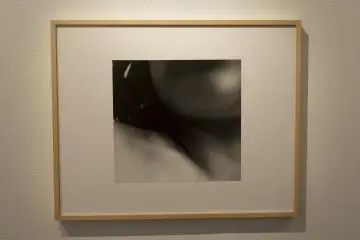 One of my favourite images from the series.