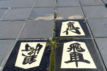 Shogi in Tendo City