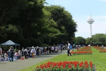 Flea Market at Tokorozawa Aviation Memorial Park 2026