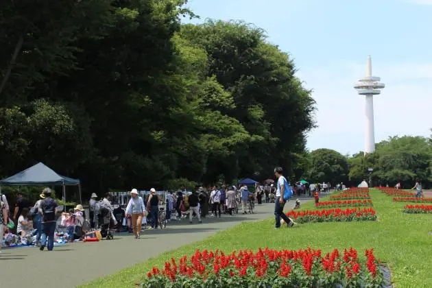 Flea Market at Tokorozawa Aviation Memorial Park 2026