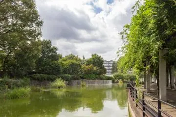 Musashi Kokubunji Park (Photo: <a href="https://www.flickr.com/photos/185008797@N05/48978215161" target="_blank" rel="noreferrer noopener nofollow">Real Estate Japan (Scott Kouchi) </a> / <a href="https://creativecommons.org/licenses/by/2.0/" target="_blank" rel="noreferrer noopener nofollow">CC BY 2.0</a>)