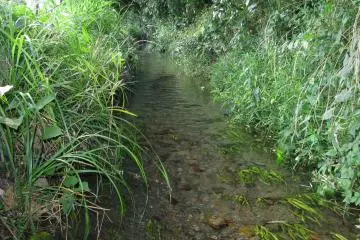 Mamakayusui Park (Photo: <a href="https://commons.wikimedia.org/wiki/File:Mamashita_Yusui_-02.jpg" target="_blank" rel="noreferrer noopener nofollow">Aimaimyi / CC BY-SA 3.0</a>)