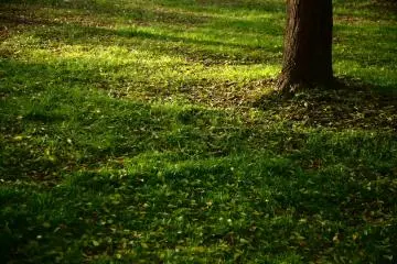 Sakuragaoka Park (Photo: <a href="https://www.flickr.com/photos/mrhayata/3085985949" target="_blank" rel="noreferrer noopener nofollow">mrhayata </a> / <a href="https://creativecommons.org/licenses/by-sa/2.0/" target="_blank" rel="noreferrer noopener nofollow">CC BY-SA 2.0</a>)