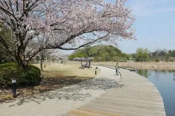 21st Century Forest and Park