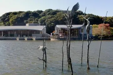 Sendabori Pond visitors (Photo:  パークセンターの外観 – <a href="https://commons.wikimedia.org/wiki/File:%E3%83%91%E3%83%BC%E3%82%AF%E3%82%BB%E3%83%B3%E3%82%BF%E3%83%BC%E3%81%AE%E5%A4%96%E8%A6%B3.JPG" target="_blank" rel="noreferrer noopener nofollow">Yukikaze1234</a> / <a href="https://creativecommons.org/licenses/by-sa/3.0/deed.en" target="_blank" rel="noreferrer noopener nofollow">CC BY-SA 3.0</a>)