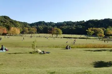 Wide lawns to lounge on and no concrete in sight (Photo:  広大な芝地 – <a href="https://commons.wikimedia.org/wiki/File:%E5%BA%83%E5%A4%A7%E3%81%AA%E8%8A%9D%E5%9C%B0.JPG" target="_blank" rel="noreferrer noopener nofollow">Yukikaze1234</a> / <a href="https://creativecommons.org/licenses/by-sa/3.0/deed.en" target="_blank" rel="noreferrer noopener nofollow">CC BY-SA 3.0</a>)