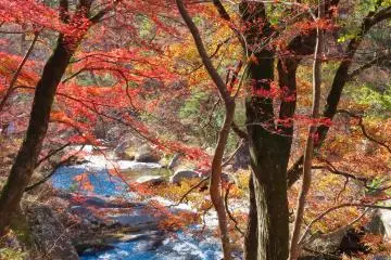 Shosenkyo Gorge Chichibu Tama Kai National Park 