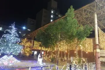 12月、山口市はクリスマス市になる 2026