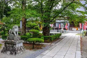 Gallery image