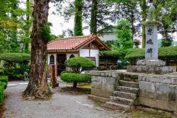 Gallery image
