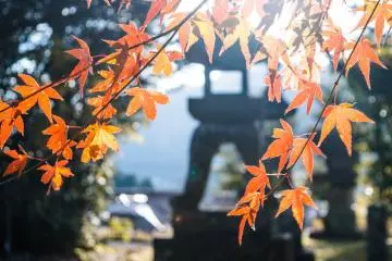 Hagi: the Perfect Place for a 2-Day Date