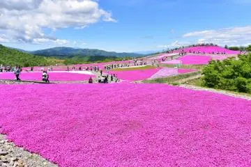 Mt. Chausu (Photo: <a href="https://commons.wikimedia.org/wiki/File:Mt.Tyausu_Moss_phlox.jpg" target="_blank" rel="noreferrer noopener nofollow">Bariston/CC By SA 4.0</a>)