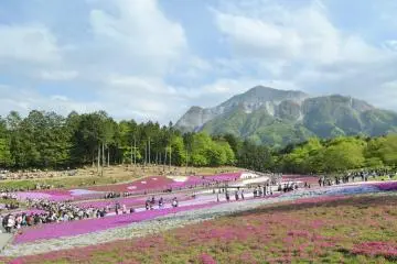 Hitsujiyama Park (Photo: <a href="https://commons.wikimedia.org/wiki/File:Hitsujiyama_Park_with_Mount_Buko_(8706304922).jpg" target="_blank" rel="noreferrer noopener nofollow">mxmstryo/CC By SA 2.0</a>)