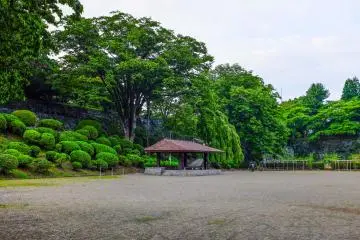 Gallery image
