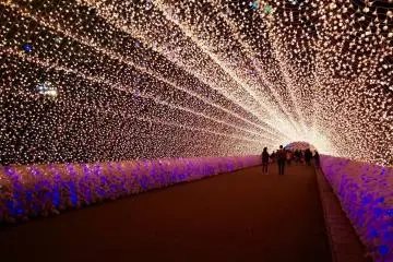 Japan Illumination (Photo: <a href="https://pixabay.com/photos/illumination-japan-light-2470045/" target="_blank" rel="noreferrer noopener nofollow">Plamankung</a> / <a href="https://pixabay.com/service/license/" target="_blank" rel="noreferrer noopener nofollow">Pixabay</a>)