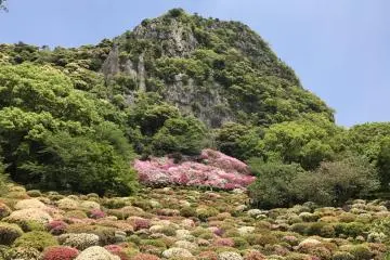 Spring Flower Festival at Mifuneyama Rakuen 2027