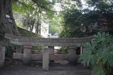 Southern Japan's Natural Heritage