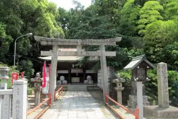Gallery image