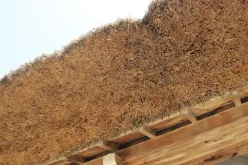 Thatched roof (Photo: Dr. Richard & Wendy Dart)