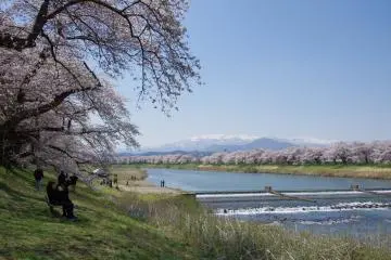 Hitome Senbonzakura Festival 2027