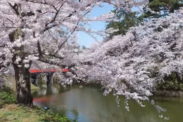 Hirosaki Cherry Blossom Festival 2026